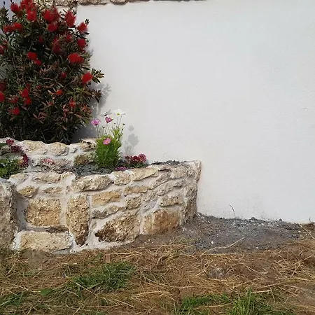 La Rose Allass Villa *