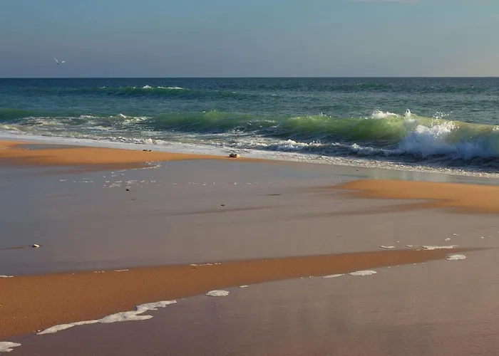 Villa La Rose Allass